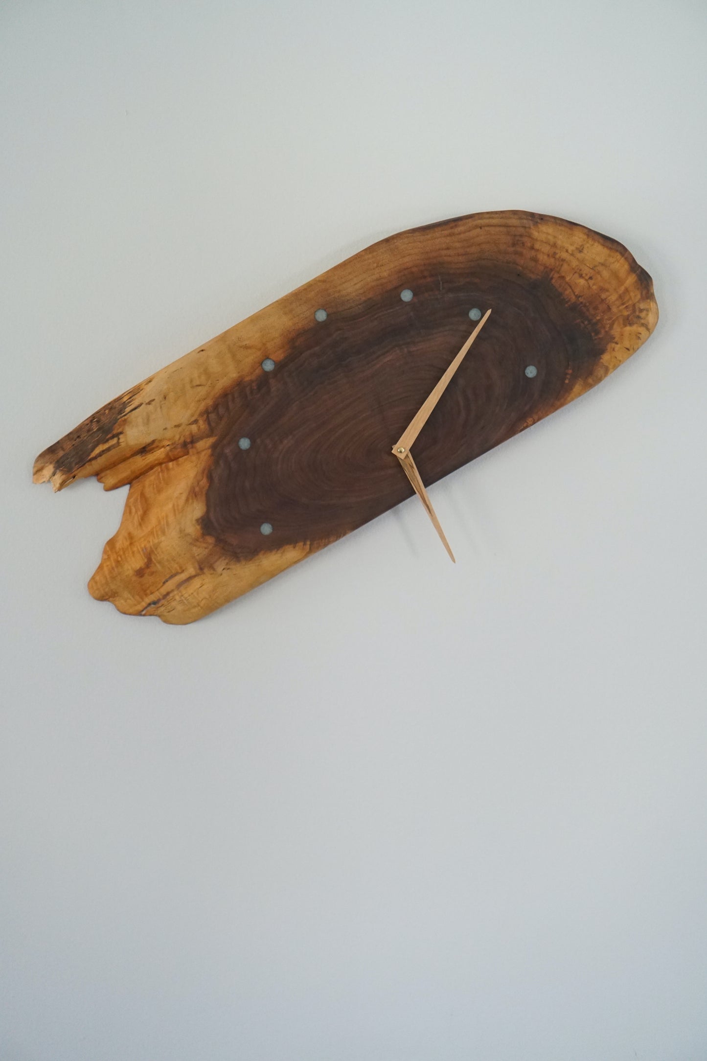 Life Cycle Wood Clock
